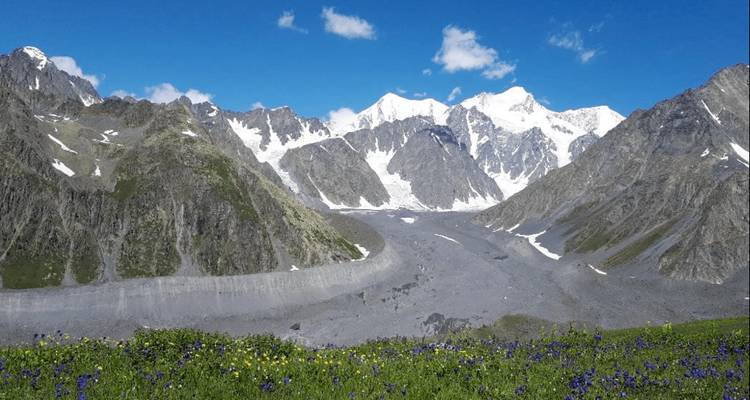 Gletsjerdal met met sneeuw bedekte toppen, rotsachtige morene en zomerse wilde bloemen in bloei.