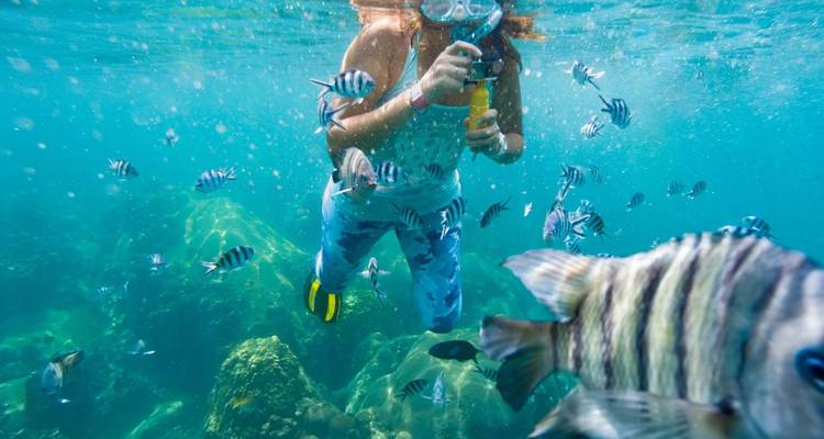 Frau schnorchelt zwischen gestreiften Fischen in klarem türkisfarbenem Wasser.