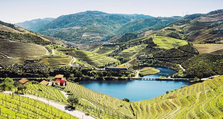 Vista panorámica de viñedos en terrazas y el río Duero serpenteando entre colinas verdes bajo cielos despejados.