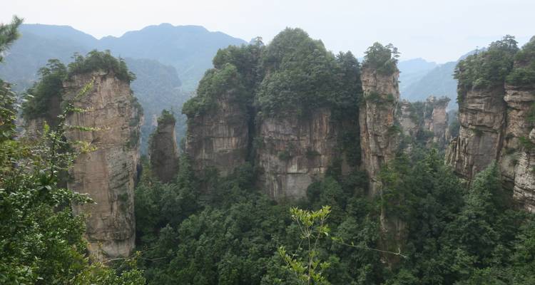 Conjunto de altos pilares de arenisca cubiertos de bosque dentro del dramático paisaje de Zhangjiajie.