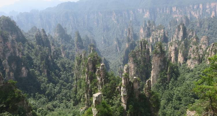 Vasta vista de innumerables agujas de arenisca y valles verdosos en el Parque Nacional Zhangjiajie.