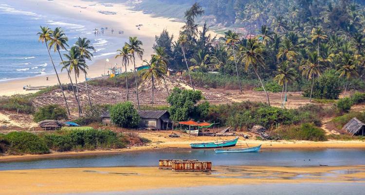 Tropische kustlijn met palmbomen, vissersboten en zandstrand met heuvels op de achtergrond