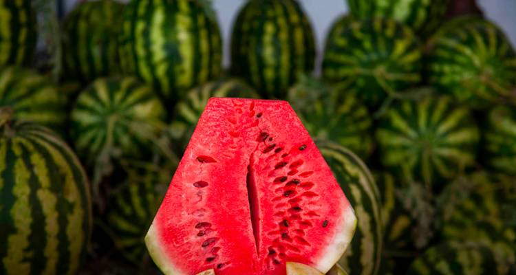 Tranche juteuse et rouge de pastèque tenue devant un arrière-plan de melons entiers empilés.