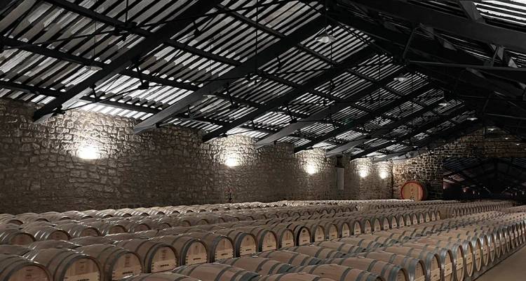 Filas de barriles de roble envejeciendo en una bodega de piedra con poca luz.