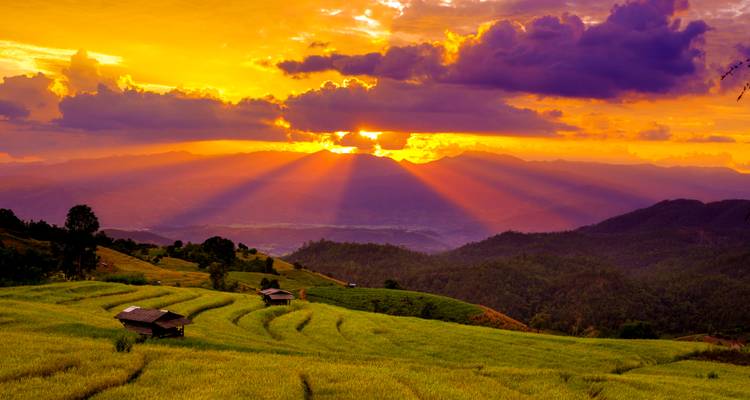 Lebendiger Sonnenuntergang wirft goldene Strahlen über terrassierte Reisfelder und hügelige Berglandschaft.