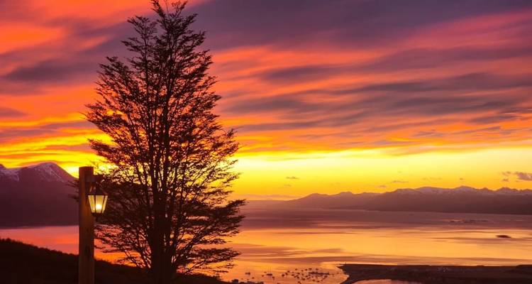 Silhouet van boom tegen dramatische oranje en paarse Patagonische zonsonderganglucht.