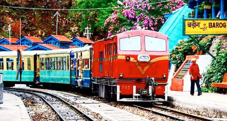 Colourful small-gauge train at Barog station on the Kalka–Shimla Railway surrounded by flowering trees.