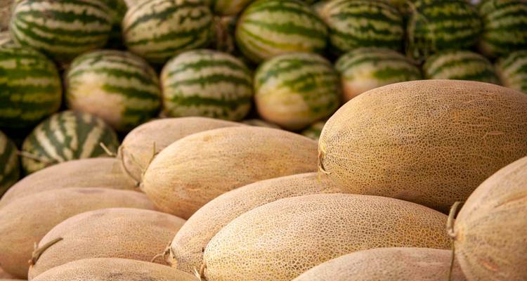 Des tas de cantaloups mûrs empilés devant des pastèques rayées sur un marché.