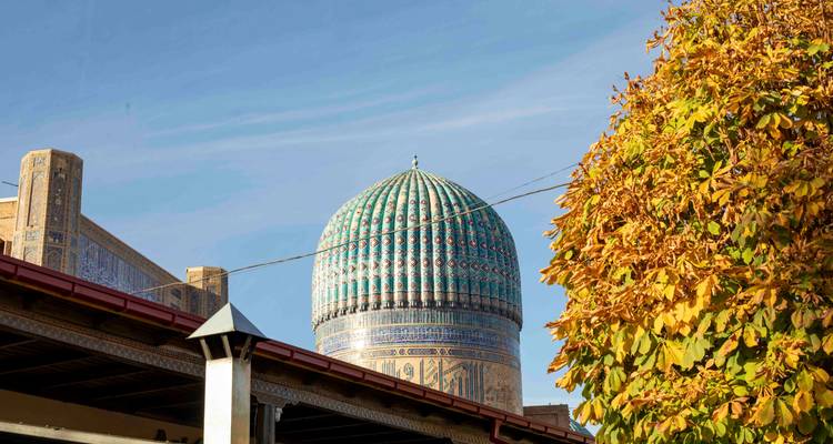 Dôme turquoise du Registan encadré par un arbre automnal doré et un ciel bleu.