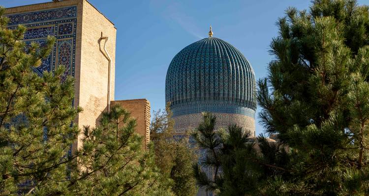 Dôme côtelé turquoise de Gur-e Amir partiellement caché par des pins dans la lumière de fin d'après-midi.