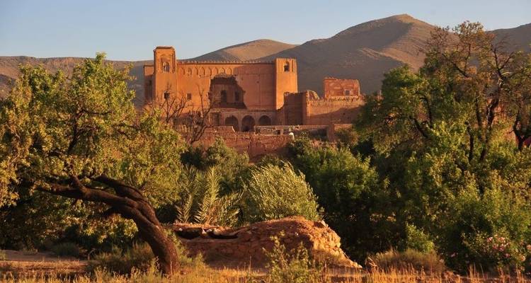 Oude aarden kasbah genesteld tussen groene bomen met ruige bergen erachter onder warm avondlicht