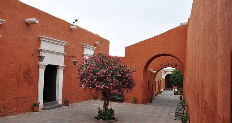 Quiet ochre alley of Santa Catalina Monastery with blooming pink bougainvillea under overcast sky