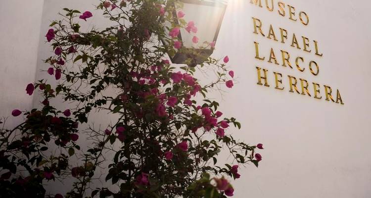 White museum wall with gold lettering partially shaded by climbing bougainvillea and sun flare