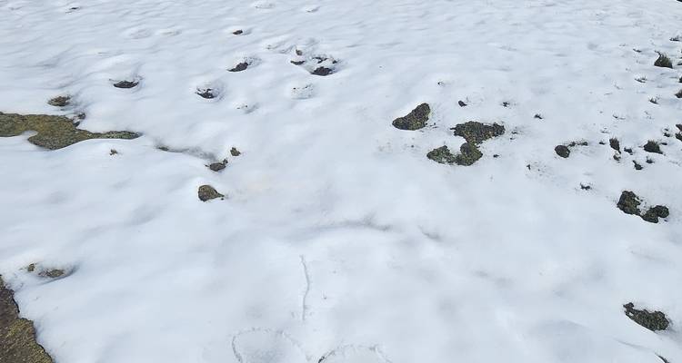 Vue rapprochée de neige inégale recouvrant un sol rocheux