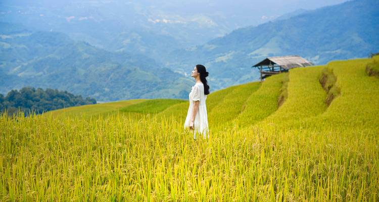Vrouw in witte jurk staat sereen tussen weelderige rijstterrassen met mistige bergen op de achtergrond.