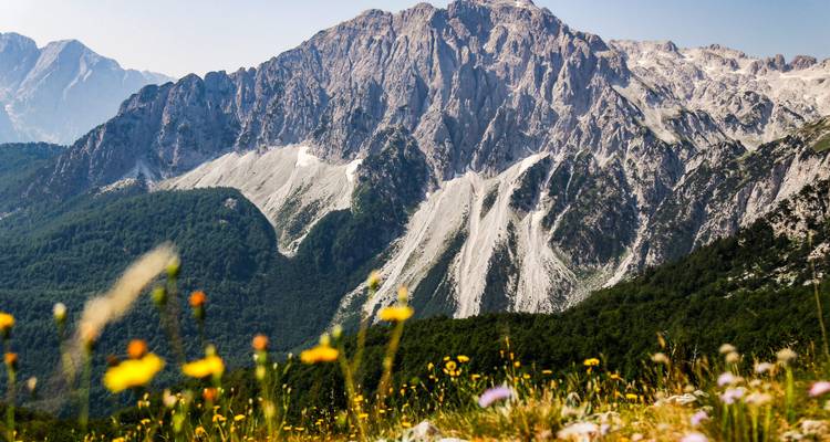 Majestueuze kalkstenen top van de Albanese Alpen omlijst door wazige voorgrond wilde bloemen