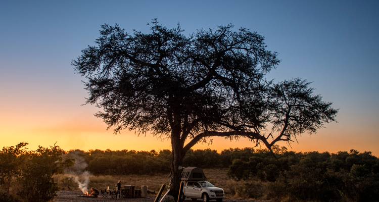 4×4 voertuig met daktent geparkeerd naast een kampvuur onder een uitgestrekte acaciaboom bij zonsondergang op de savanne.