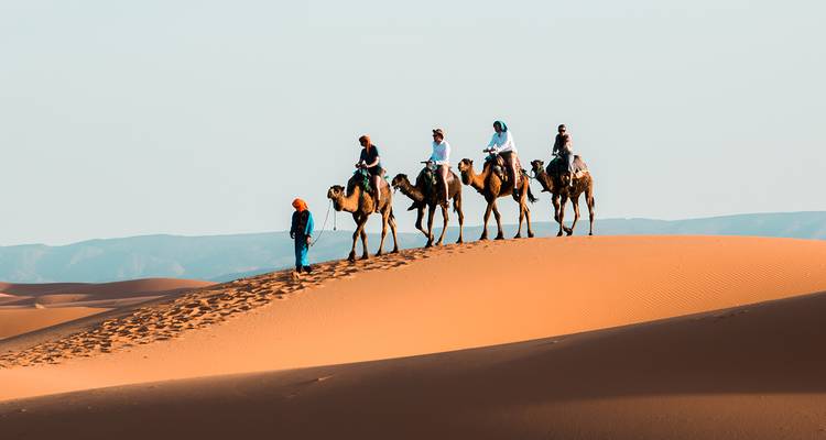 Una caravana de turistas montando camellos corona una duna dorada del Sahara bajo un cielo azul pálido.