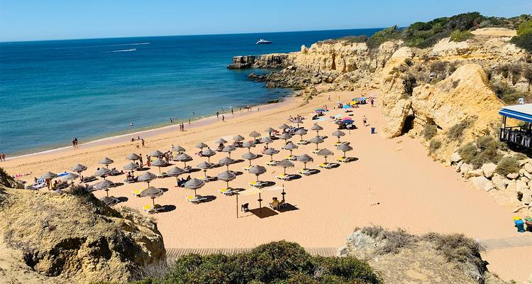 Wide Algarve beach with neat rows of parasols and loungers against turquoise sea and rocky headlands.