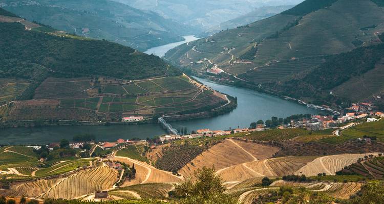 Vue panoramique brumeuse de la rivière Douro serpentant à travers les terrasses viticoles étagées et les collines