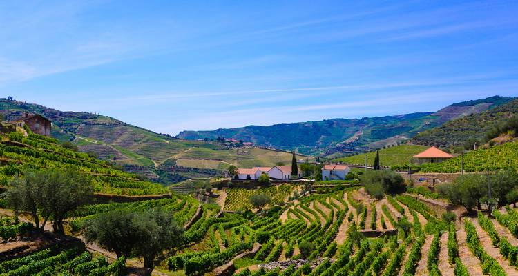 Des terrasses en pente couvertes de vignes et des fermes dispersées dans la vallée du Douro sous un ciel bleu clair