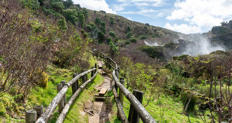 Smal zandpad met houten leuningen dat door groene begroeiing en opstijgende geothermische stoom op een vulkanische helling leidt.