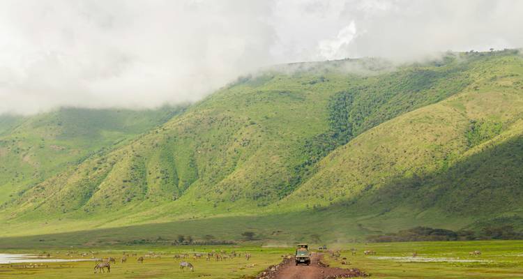 Un véhicule de safari roule le long d'un sentier de terre à travers une vallée verdoyante avec des zèbres qui broutent sous des parois de cratère couronnées de brume.