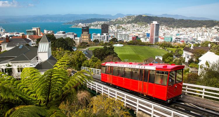 Rode Wellington Kabelbaan die boven de stad klimt met haven en heuvels op de achtergrond.
