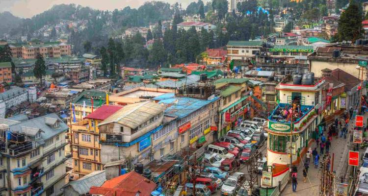 Panoramisch uitzicht op Darjeelings kleurrijke heuveldorp met dichte daken en omliggende cederbos.