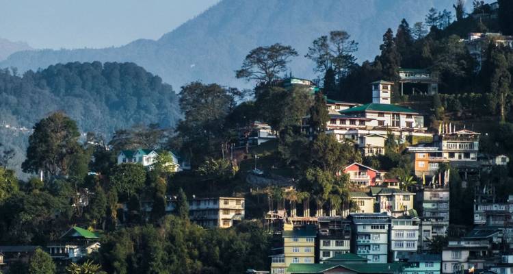 Cluster van kleurrijke huizen op een beboste heuvel met bergachtergrond in Sikkim.