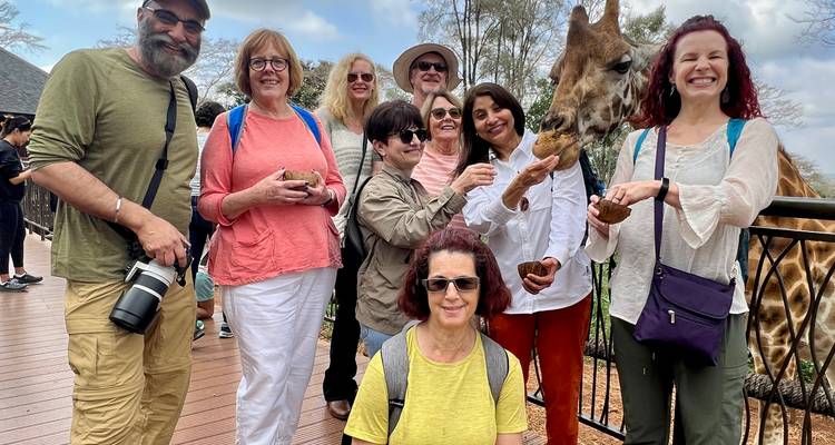 Los viajeros alimentan a una jirafa amigable desde una plataforma de madera elevada en un centro de animales.