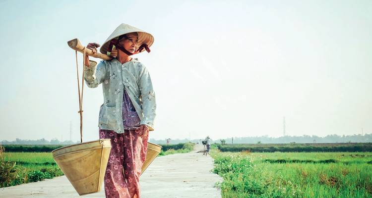Fermier vietnamien rural porte deux seaux d'eau le long d'un sentier étroit à travers des rizières vertes.