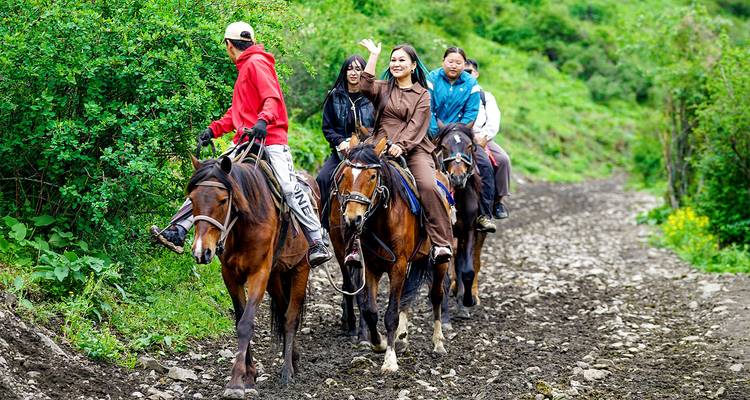 Kleine groep die te paard rijdt langs een bospad omzoomd door weelderig groen