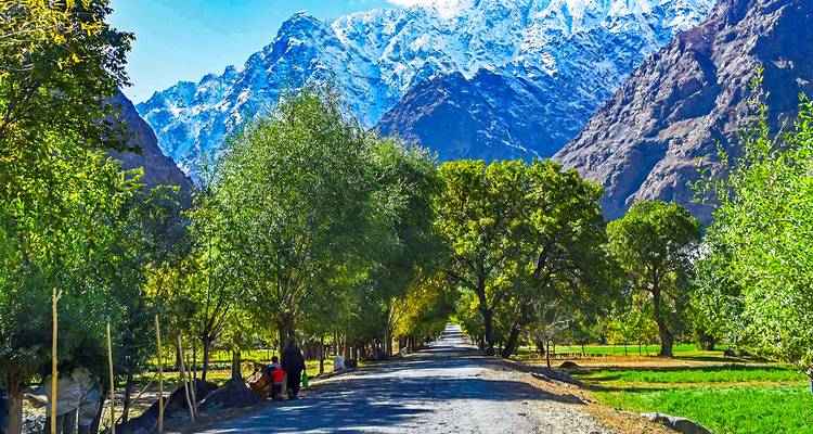 Bomenrijke landelijke weg die leidt naar dramatische met sneeuw bedekte bergen onder een heldere blauwe hemel