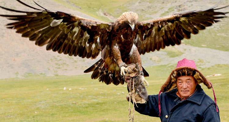 Un cetrería kazajo con un sombrero de piel sostiene orgullosamente un águila dorada gigante con las alas abiertas de par en par en una pradera abierta.