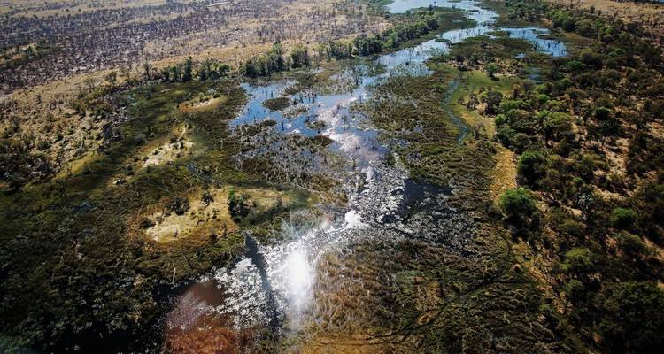 Hohe Luftaufnahme der mosaikartigen Feuchtgebiete, Kanäle und Inseln des Okavango-Deltas.