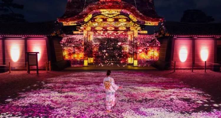 's Nachts staat een kimono-dragende bezoeker voor een tempelpoort verlicht door verblindende digitale kersenbloesemprojecties.