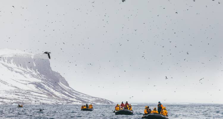 Several zodiacs float below bird-crowded cliffs as seabirds fill the overcast sky.