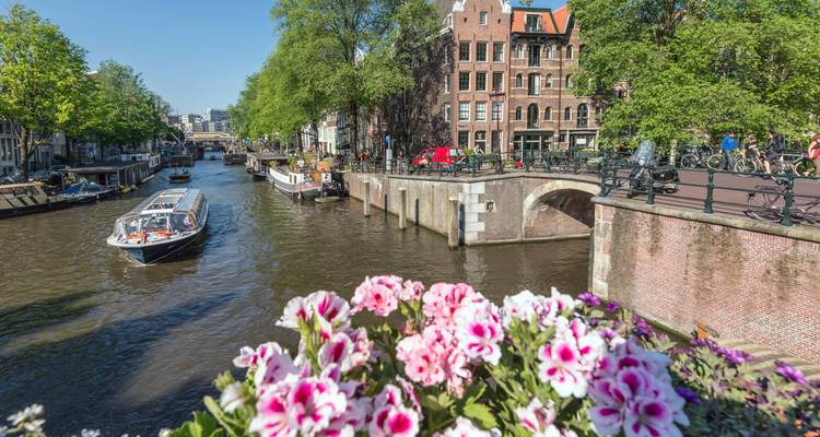 Zonnig Amsterdam gracht met rondvaartboten die onder een bakstenen brug doorvaren, omlijst door roze bloemen op de voorgrond.