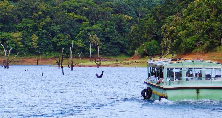 Ausflugsboot fährt über einen bewaldeten See mit Passagieren, die Wildtiere beobachten