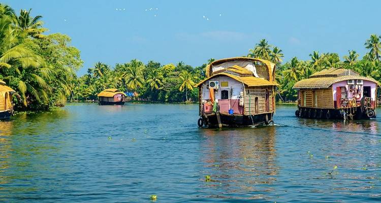 Bunte strohgedeckte Hausboote, die auf den strahlend blauen Backwaters von Kerala fahren, gesäumt von Palmen