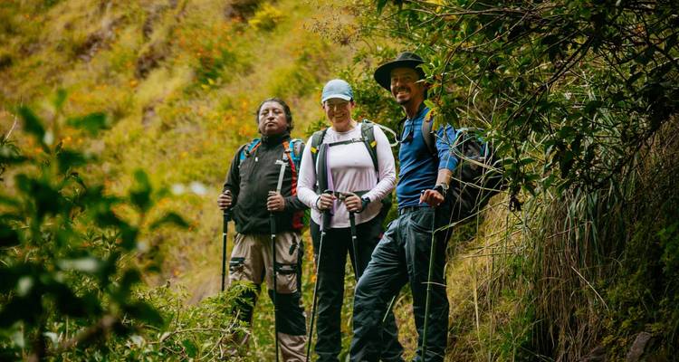 Drie wandelaars pauzeren op een weelderig junglepad met wandelstokken en rugzakken.