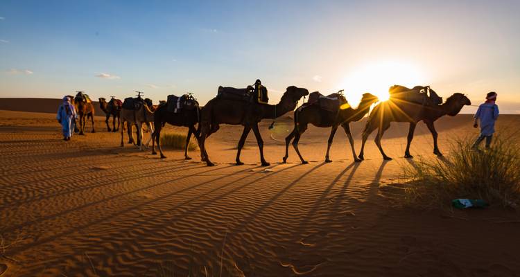 Kamelkarawane wirft lange Schatten über Saharasand bei Sonnenuntergang.