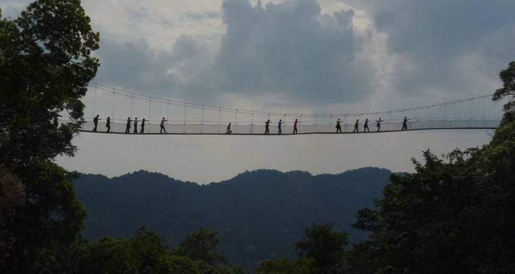 Silhouettes de visiteurs traversant un long pont suspendu à baldaquin au-dessus d'une vallée forestière luxuriante et de collines lointaines.