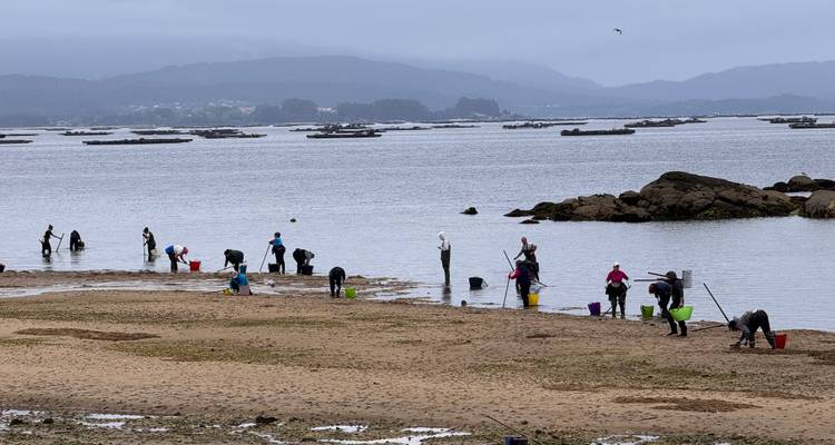 Plaatselijke bewoners die schelpdieren oogsten op een breed waddengebied met verre eilanden onder een grijze lucht