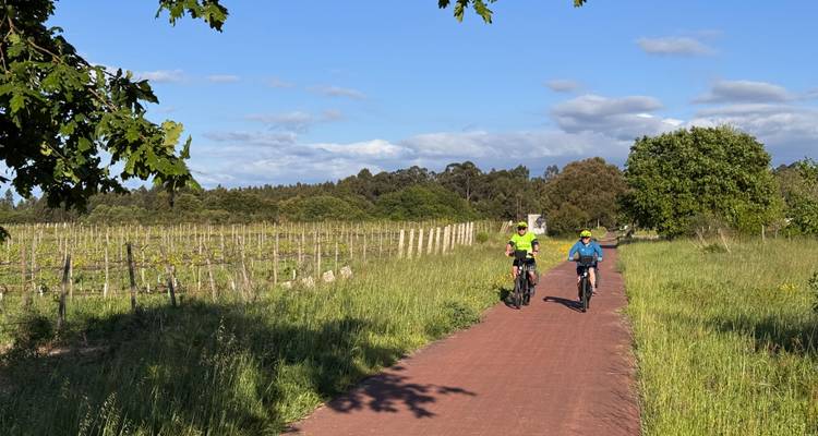 Fietsers rijden langs een rood geplaveide pad geflankeerd door weelderige wijngaarden onder blauwe luchten