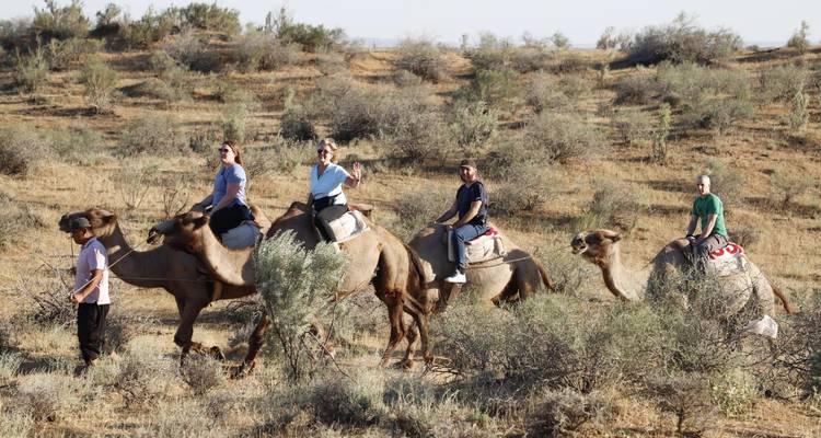 Ruiters trekken op kamelen door droge struikvegetatie in ganzenpas.