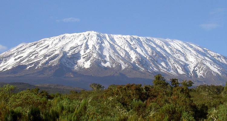 La cumbre cubierta de nieve del Monte Kilimanjaro se alza sobre exuberantes colinas verdes contra un cielo azul claro.