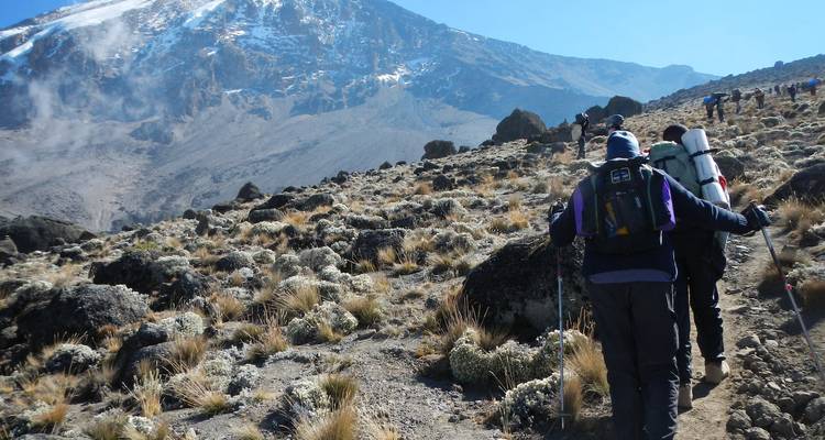 Los excursionistas ascienden por una ladera alpina polvorienta salpicada de hierbas en manojos bajo la cima dentada del Kilimanjaro.