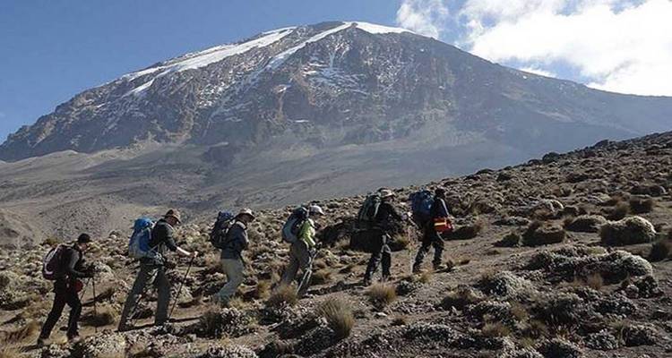 Un equipo de escaladores cruza páramo rocoso de gran altitud bajo la cumbre glaciar del Kilimanjaro.